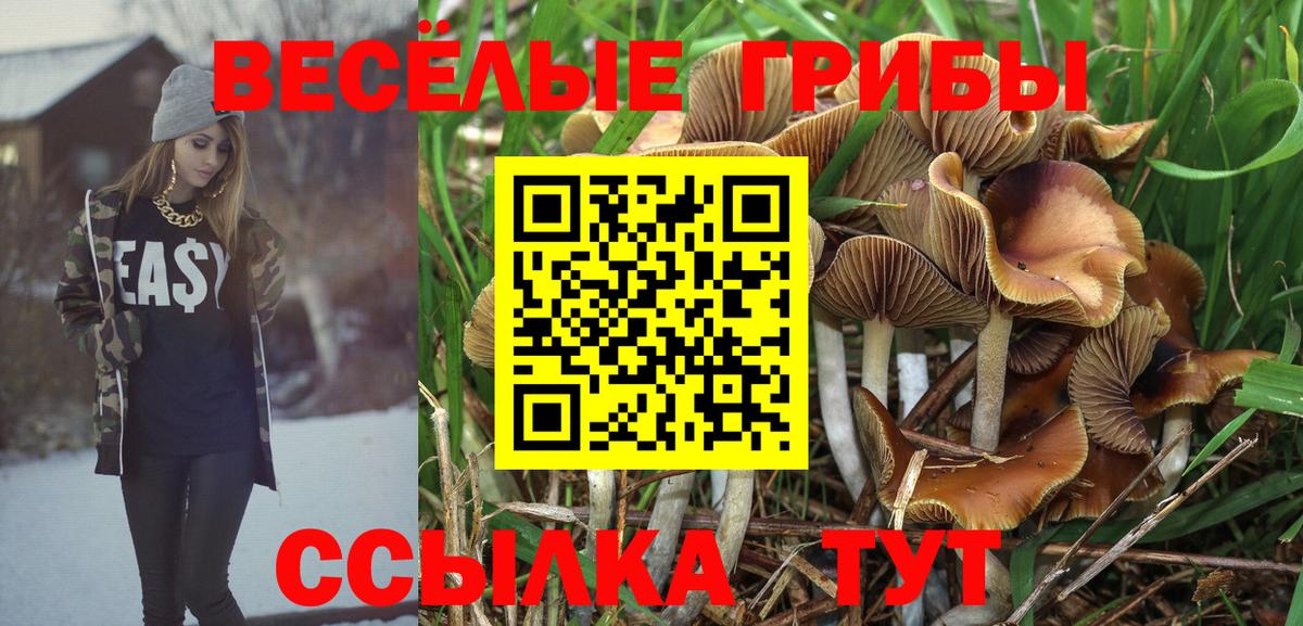 Галлюциногенные грибы мухоморы  Вход с VPN  Тихвин  Галлюциногенные грибы ЛСД 
