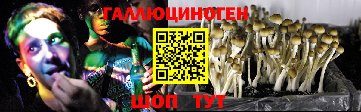 Галлюциногенные грибы Magic Shrooms Тихвин